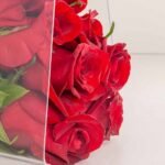 Swiza Red Bloom - Image 2